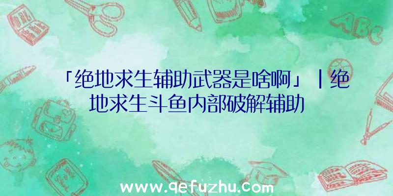 「绝地求生辅助武器是啥啊」|绝地求生斗鱼内部破解辅助